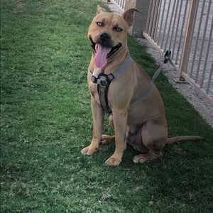 Meet your Posher, Monica